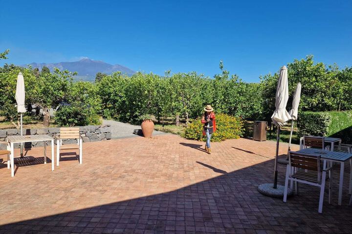 Terrace/Patio 15 of 36