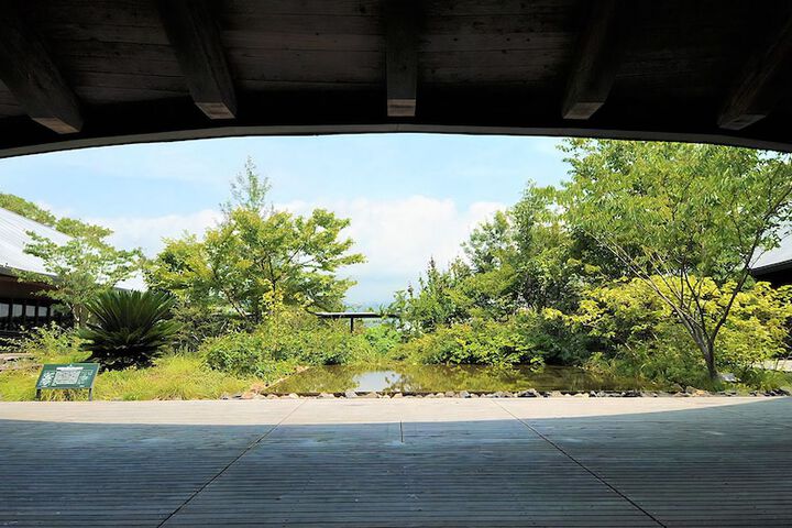 Land view from property