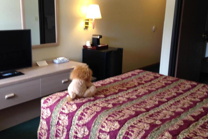 Room 11 of 38