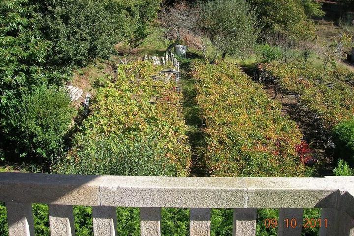 Terrace/Patio 6 of 23