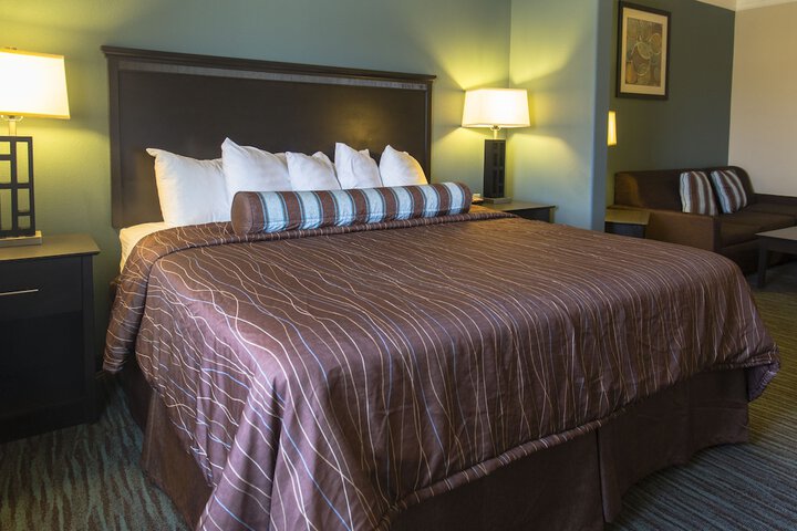 Studio Suite King Bed (12 of 15)