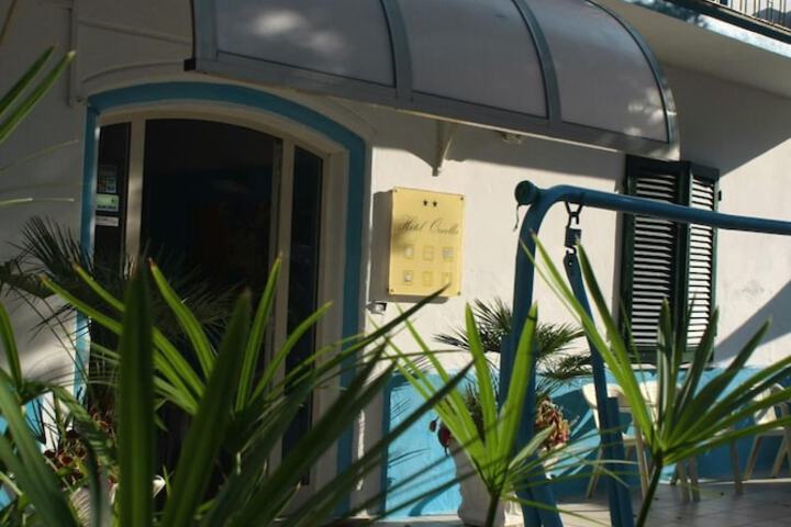 Hotel 41 of 41
