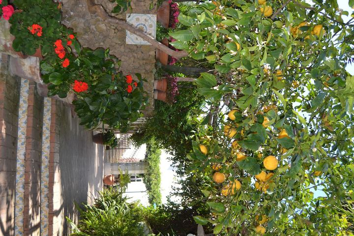 Hotel Entry