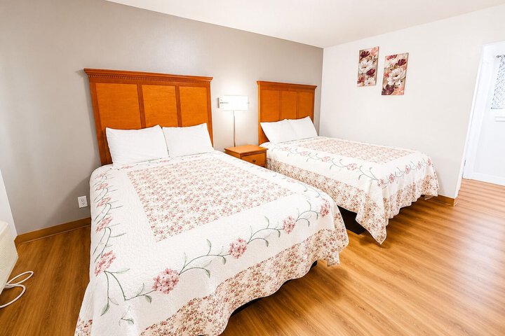 Room 12 of 65