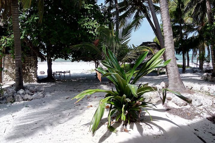 Beach 82 of 92