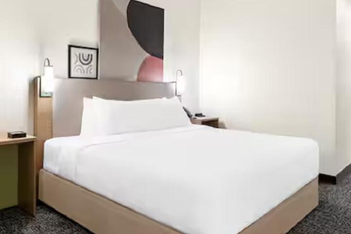 1 King Bed (17 of 23)