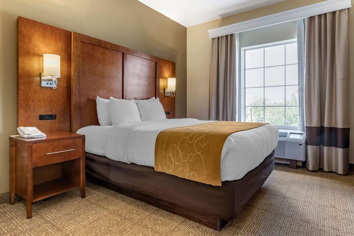 Suite Queen Bed Accessible (10 of 19)