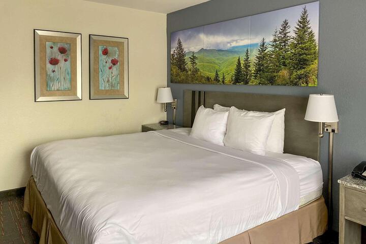 1 King Bed (7 of 11)