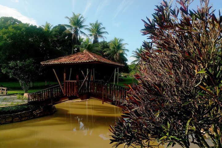 Property Grounds 30 of 31