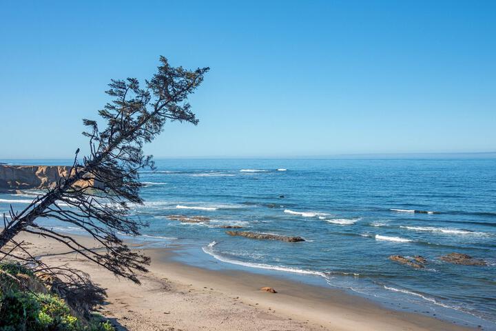 Beach 4 of 23