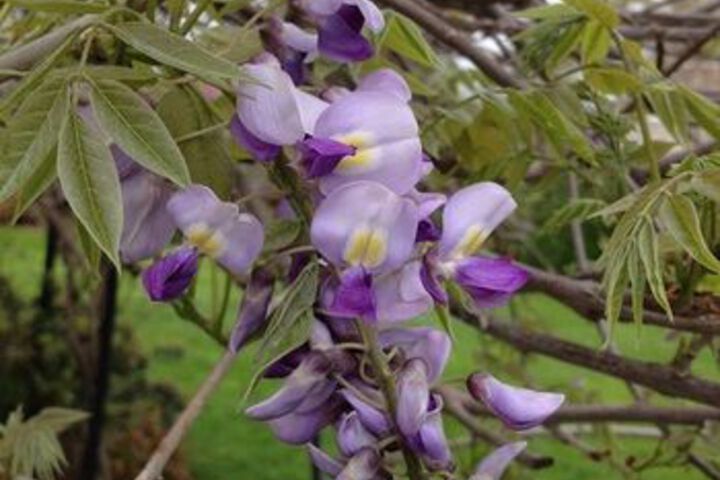 Hotel Exterior 10 of 33