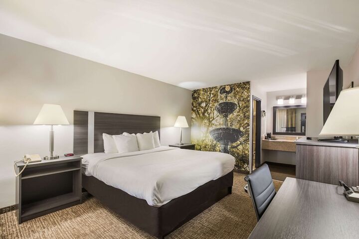 1 King Bed (15 of 15)