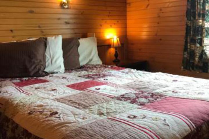 Cobtree Otisco Log Home in Geneva, NY