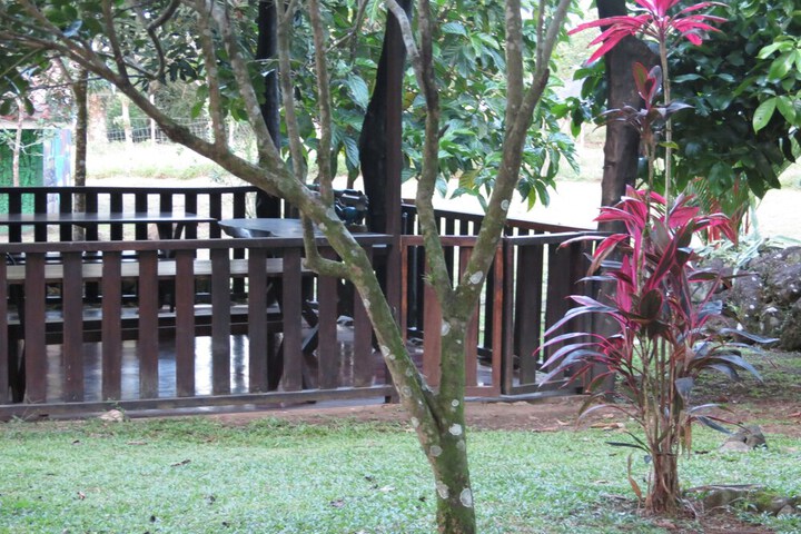 Property Grounds 22 of 28