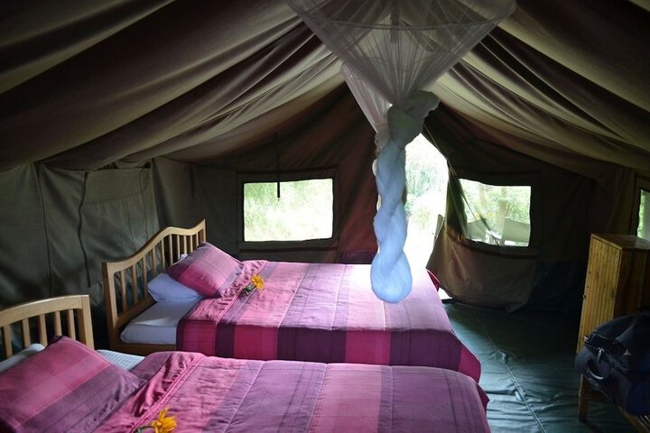 Room 5 of 9