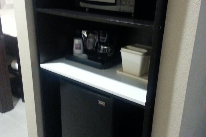 Mini-refrigerator