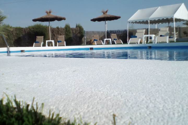 Pool 22 of 37