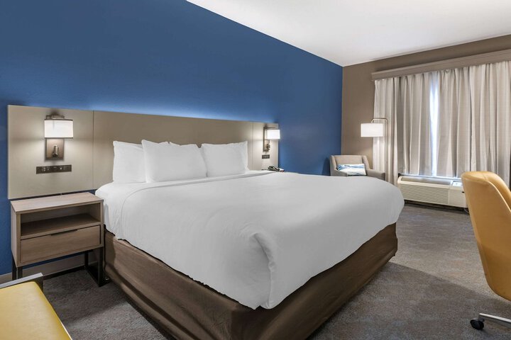 1 King Bed (7 of 17)
