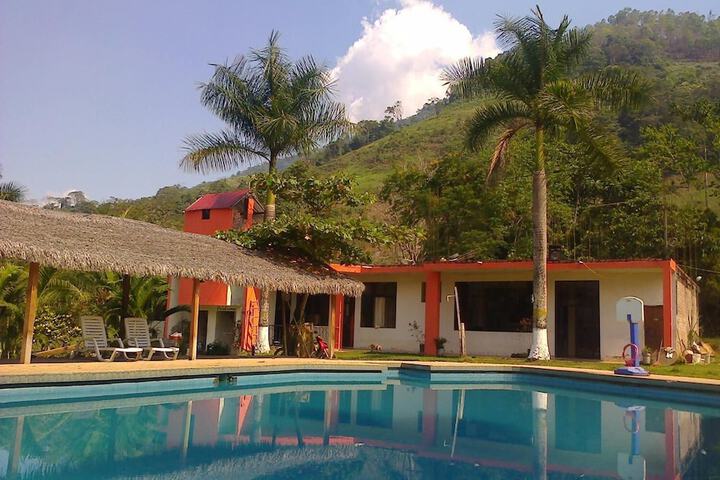 Pool 11 of 46