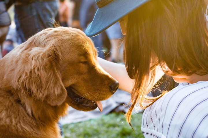 Pet Friendly 10 of 37