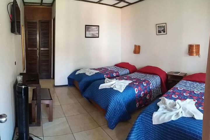 Room 22 of 50