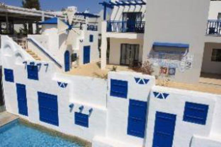 Photo 8
