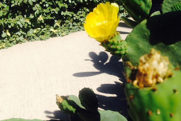 Hotel Exterior 78 of 91