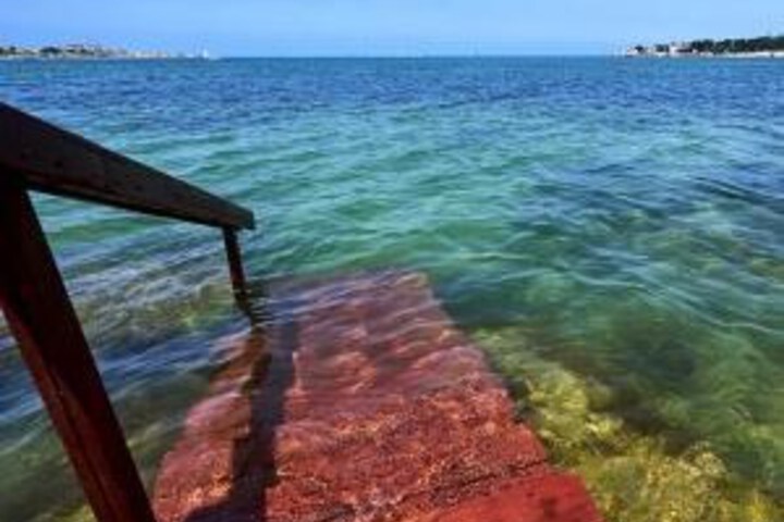 General 7 of 19