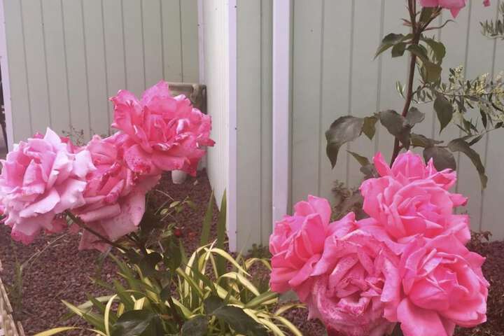 Hotel Entry