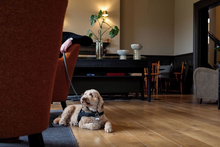 Pet Friendly 32 of 41