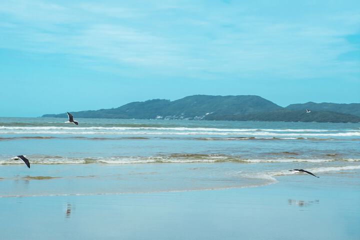 Beach 169 of 170
