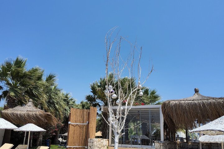 Beach 122 of 131