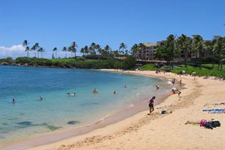 South Maui Luxury Rentals