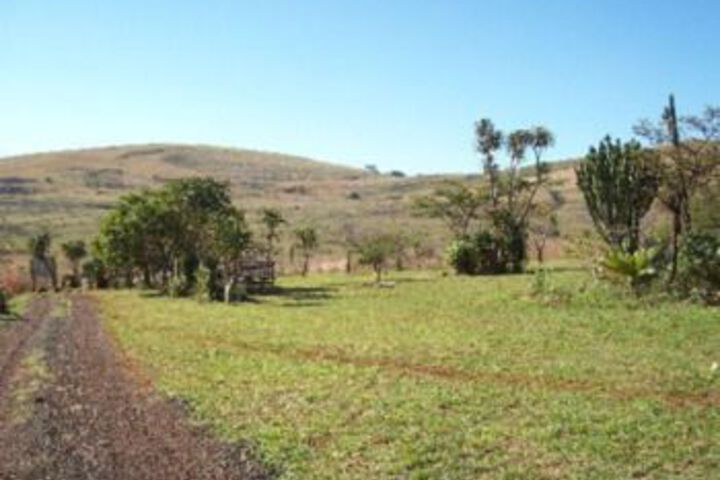 Property Grounds 14 of 16