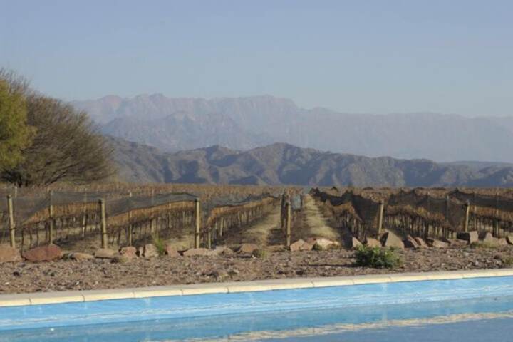 Pool 6 of 13