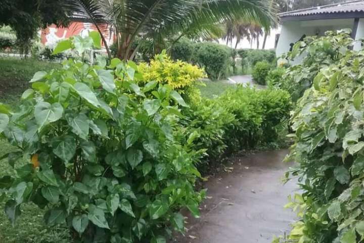 Property Grounds 16 of 38