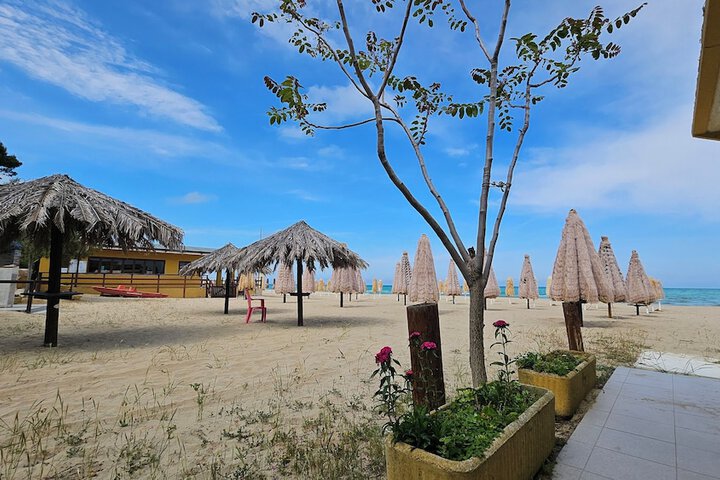 Beach 48 of 65