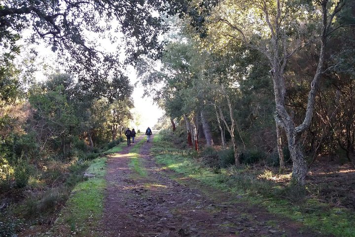 Outdoor Activities 16 of 43