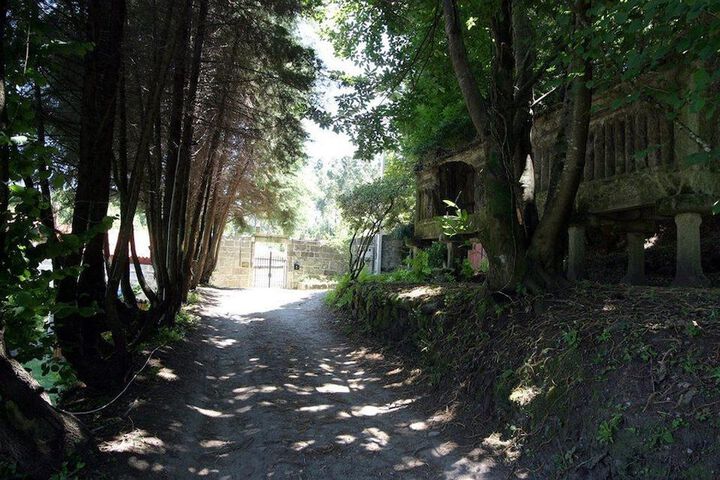Property Grounds 29 of 33