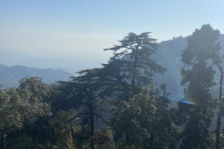 View from room