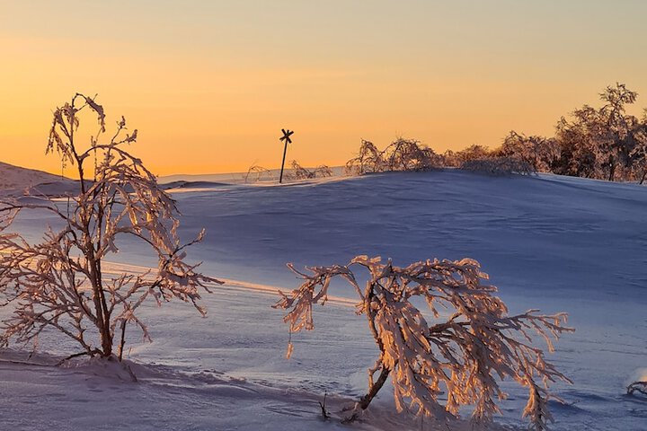 Vauldalen Fjellhotell in Roros