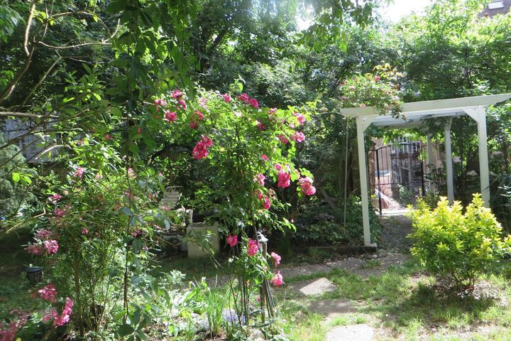 Property Grounds 42 of 53