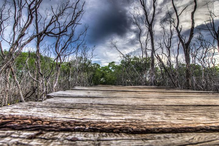 Dock