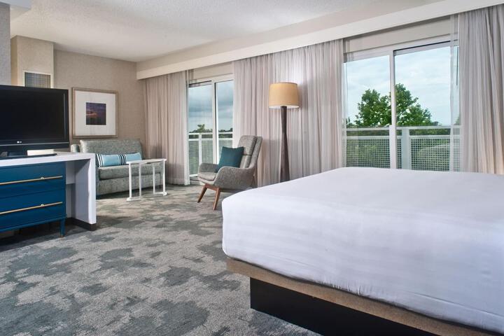 Suite 1 King Bed Petite Suite (6 of 7)