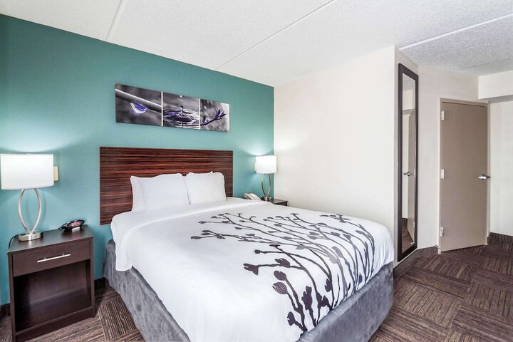 Queen Bed Accessible (7 of 12)