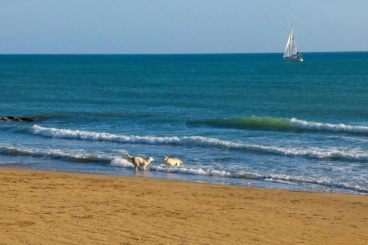 Beach 8 of 11
