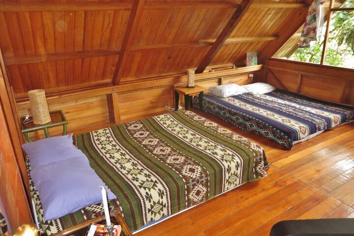 Room 4 of 54