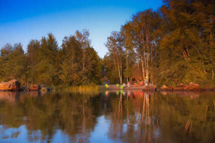 Image of Goldenville