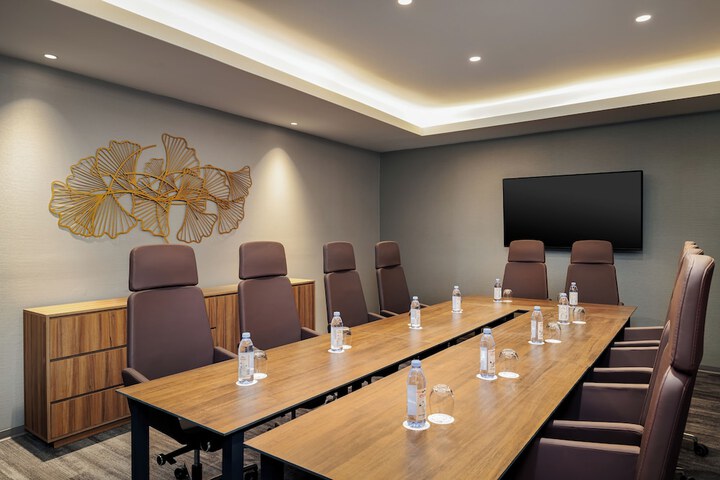 Meeting 46 of 51