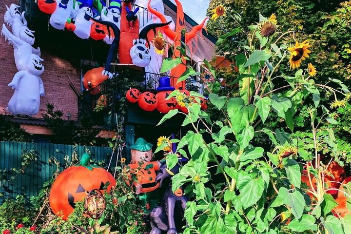 Property Grounds 70 of 80